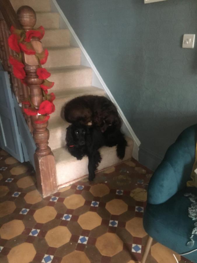 纽贝里海滩小屋 库姆马丁 外观 照片