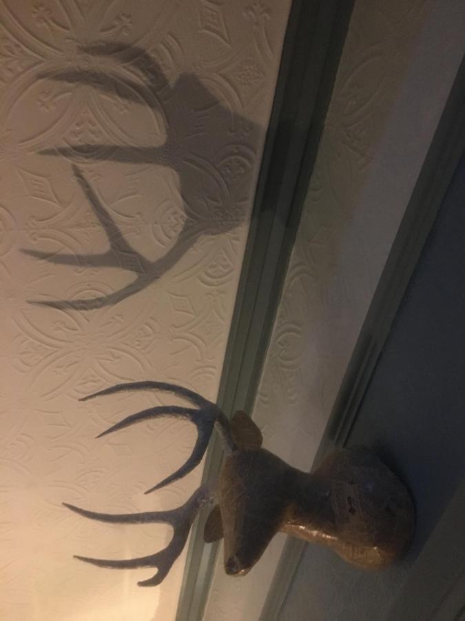 纽贝里海滩小屋 库姆马丁 外观 照片